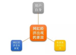网红农产品品牌运营发展报告（中篇） 网红为什么这样红——营销企划与市场引爆之道
